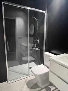 y baño con ducha, aseo y lavamanos. en Flamenco modern & luxury, en Málaga