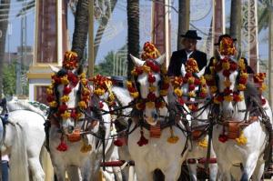 un gruppo di cavalli bianchi con decorazioni sopra di Miriam Costa de la luz 2 a Jerez de la Frontera
