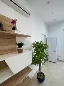 a plant in a white room with a white shelf at Brand new Appartement of two bedrooms in Sliema in Sliema