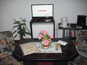 TV a/nebo společenská místnost v ubytování Pension Möhring