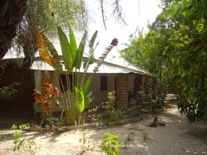 Kafountine的住宿－肯薩拉塔圖朵旅館，前面有大量植物的房子