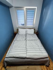 a large bed in a blue room with a window at apartment24 in Skopje