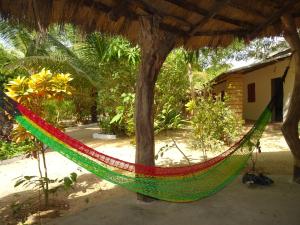 Kafountine的住宿－肯薩拉塔圖朵旅館，院子里绑在树上的吊床
