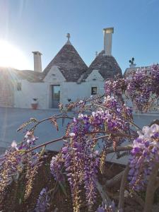 una planta con flores púrpuras delante de una casa en Trullo La chicca della valle en Cisternino