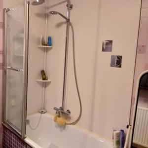 een badkamer met een douche en een bad bij L'Etape gourmande, chambres d'hôtes in Wellin