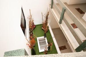 una escalera con plantas en un suelo verde en Hotel Rossel Plaza, en Ciudad de México