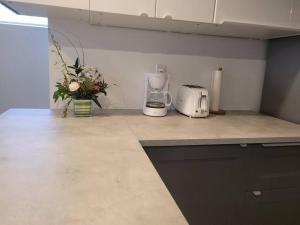 Kuchyň nebo kuchyňský kout v ubytování QUIET Appartment near Montreal CITQ 3O9764