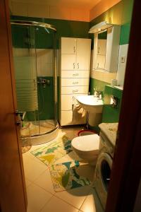 uma casa de banho com um WC, um chuveiro e um lavatório. em Studio Apartment Nika Anđusa em Petrovac na Moru