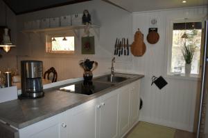蒂達霍爾姆的住宿－Nice holiday home in Hokensas nature reserve，厨房配有水槽和台面