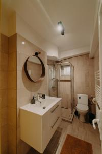 een badkamer met een wastafel, een toilet en een spiegel bij Apartamentul Galben in Vatra Dornei