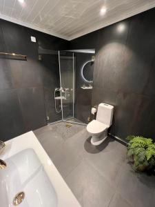 W łazience znajduje się toaleta, prysznic i umywalka. w obiekcie Bualie Golsfjellet w mieście Gol