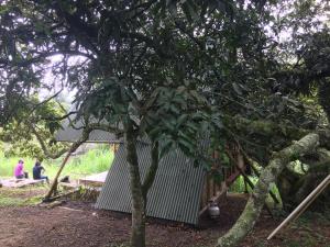 Zahrada ubytování Glamping El Árbol en la Casa