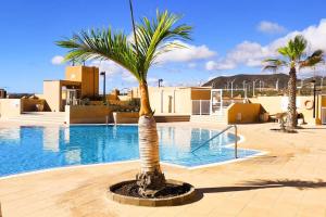 un palmier dans une cour à côté d'une piscine dans l'établissement Beach and pool view , 4 people, and free wifi, à Poris de Abona