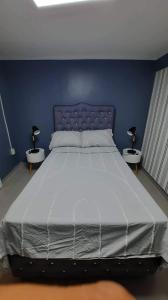 a bedroom with a large bed with two night stands at Pretty flat with full AC 