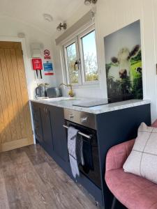 a kitchen with a sink and a picture of a cow on the wall at The Shepherd’s Nest in Bristol