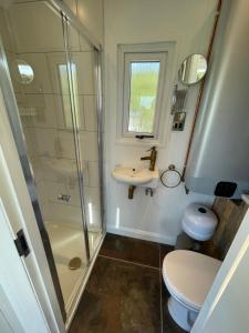 a bathroom with a shower and a toilet and a sink at The Shepherd’s Nest in Bristol