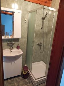 La salle de bains est pourvue d'une douche et d'un lavabo. dans l'établissement Florida Resort, à Bačka Palanka