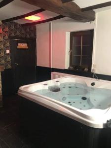 a large bath tub in a bathroom with a window at Casa Wellness Floreffe jacuzzi in Floreffe