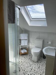 a bathroom with a toilet and a sink and a skylight at No. 21 An t'Oileán in Valentia Island