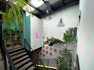 a hallway with stairs and plants in a building at Canova in Panama City