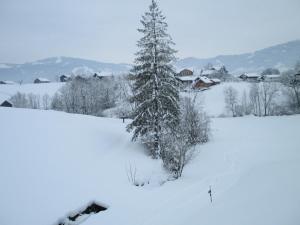 Haus Schneider durante l'inverno
