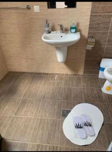 a bathroom with a sink and a toilet and a white sink at Elitegasthaus Moieciu A in Moieciu de Jos