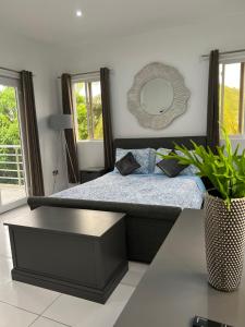 a bedroom with a bed and a mirror on the wall at Belle Luxury Apartments in Gros Islet