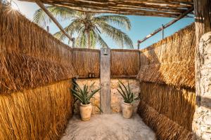 Фотография из галереи Playa Esperanza Tulum в городе Тулум