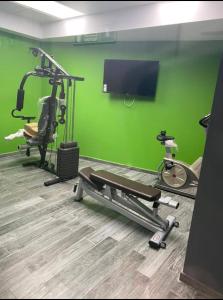 Fitness centrum a/nebo fitness zařízení v ubytování El Ghanami Hotel