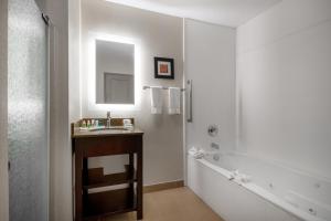 un bagno con un lavandino, una vasca e uno specchio di Holiday Inn Poughkeepsie by IHG a Poughkeepsie