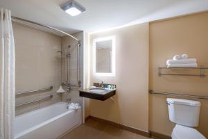 a bathroom with a tub and a toilet and a sink at Holiday Inn Poughkeepsie, an IHG Hotel in Poughkeepsie