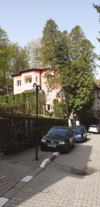 two cars parked on the side of a street at Casa Rosa in Băile Olăneşti