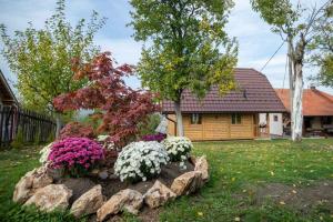 Zahrada ubytování Brvnara Oganj + 37 fotografií