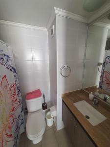 a bathroom with a white toilet and a sink at Edificio Bulnes Iquique in Iquique +10 photos