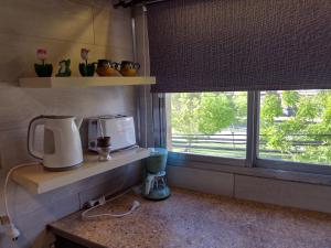 a kitchen with a counter with a blender and a window at Angeles del Limay in Cipolletti