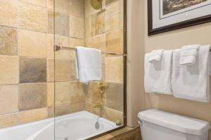 ein Badezimmer mit einer Dusche, einer Badewanne und einem WC in der Unterkunft Blue Collar Boutique: Affordable Adventure in Telluride + 26 Fotos