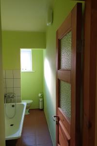 a green bathroom with a sink and a toilet at Naktsmājas Jaunlaicenē in Jaunlaicene