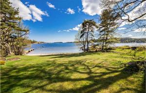 a view of a lake with trees and green grass at Nice Home In Brevik With Kitchen in Bjønnes