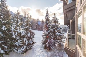 uma vista a partir de uma varanda de árvores cobertas de neve em The best ski in ski out two bedroom condo at Aspens em Whistler