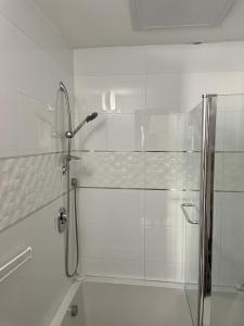 a shower with a glass door in a bathroom at Gorgeous duplex in heart of Jerusalem in Jerusalem