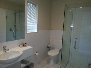 a bathroom with a toilet and a sink and a shower at Cedar Grove Motor Lodge in Nelson