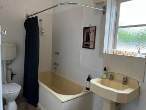 ヒールズビルにあるThe Loft on Main Streetの浴槽、洗面台、トイレを備えたバスルーム +9枚の写真