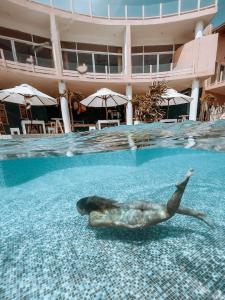 un león marino nadando en una piscina en Belika Beach Club en Hiriketiya