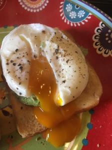 a fried egg on a piece of bread on a plate at The Llama Farm France in Saint-Cyr-les-Champagnes