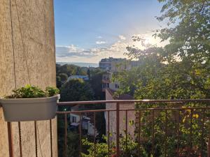 un balcón con una maceta en el lateral de un edificio en Апартамент широк център варна15 минути до центъра, en Varna