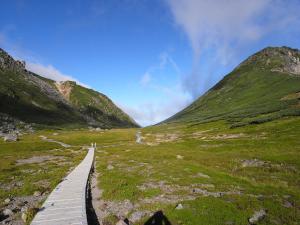 a wooden pathway through a grassy field with mountains at Hakuba Highland Hotel in Hakuba +150 photos
