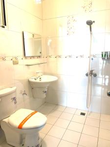 a bathroom with a toilet and a sink and a shower at 甜心藝宿民宿-包棟可烤肉 麻將來電預約 in Taitung City