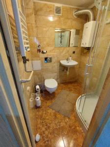 uma casa de banho com um WC e um lavatório em Apartament przy dworcu w Sanoku em Sanok