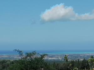 vista dalla cima di una collina di La casa di Agata a Guardistallo Altre 9 foto