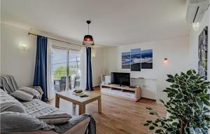 - un salon avec un canapé et une télévision dans l'établissement 3 Bedroom Lovely Home In Nova, à Vela Luka